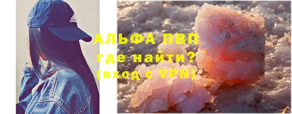 эйфоретик Покачи